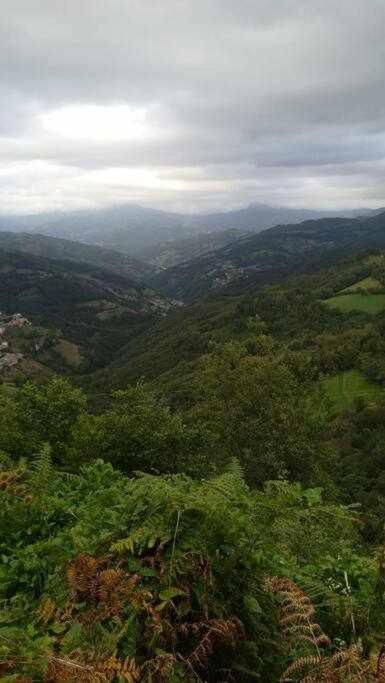 Asturias Boho Chic Apartment Aller Bagian luar foto